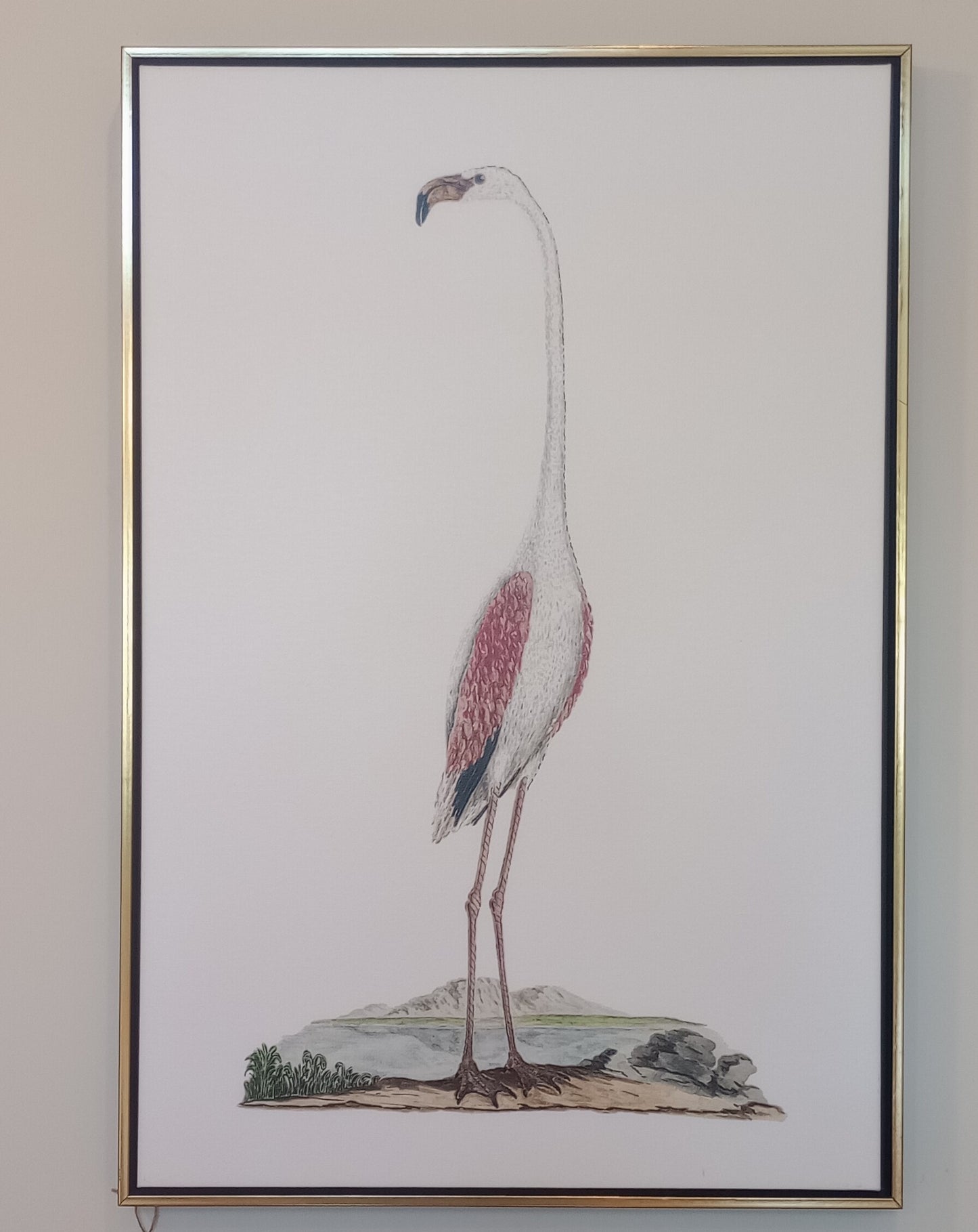 Flamingo No. 1 - 24x36 Canvas in Floating Gold Frame