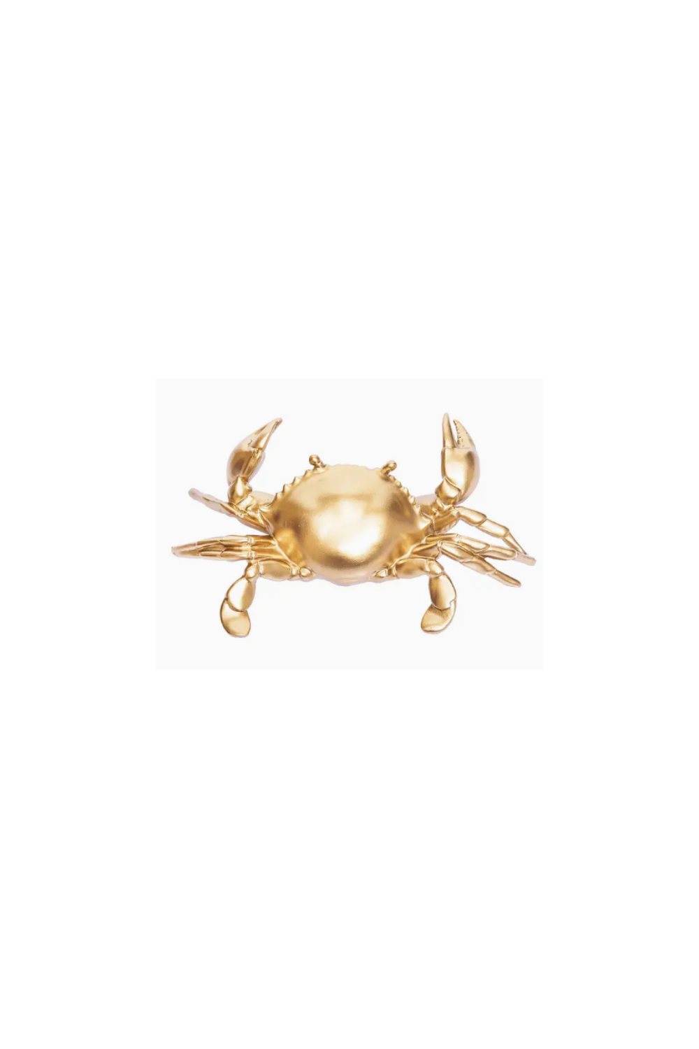 Coastal Gold Crab