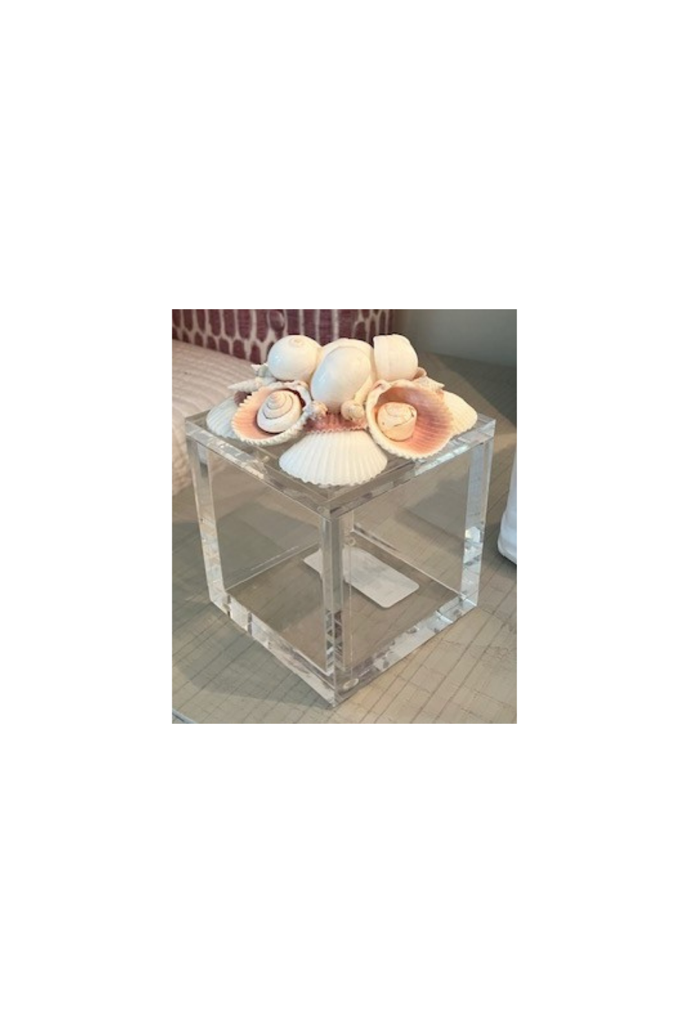 Clear Acrylic Box with Shells