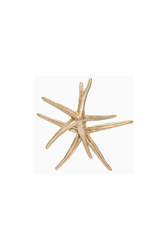 Coastal Gold Starfish