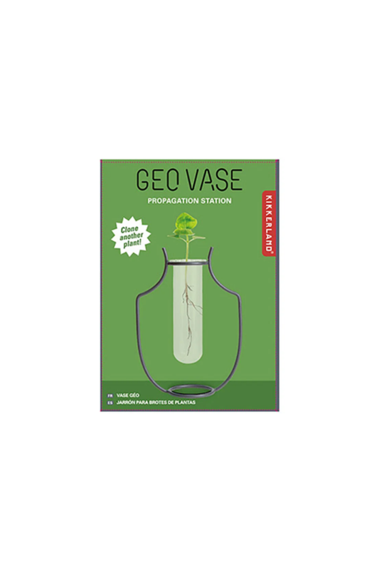 Geo Vase Propagation Station