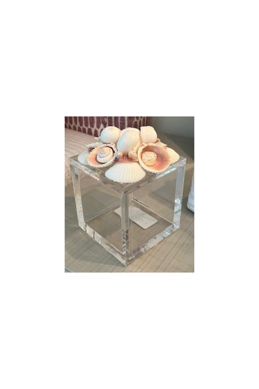 Clear Acrylic Box with Shells