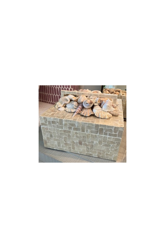 Mosaic Shell Box