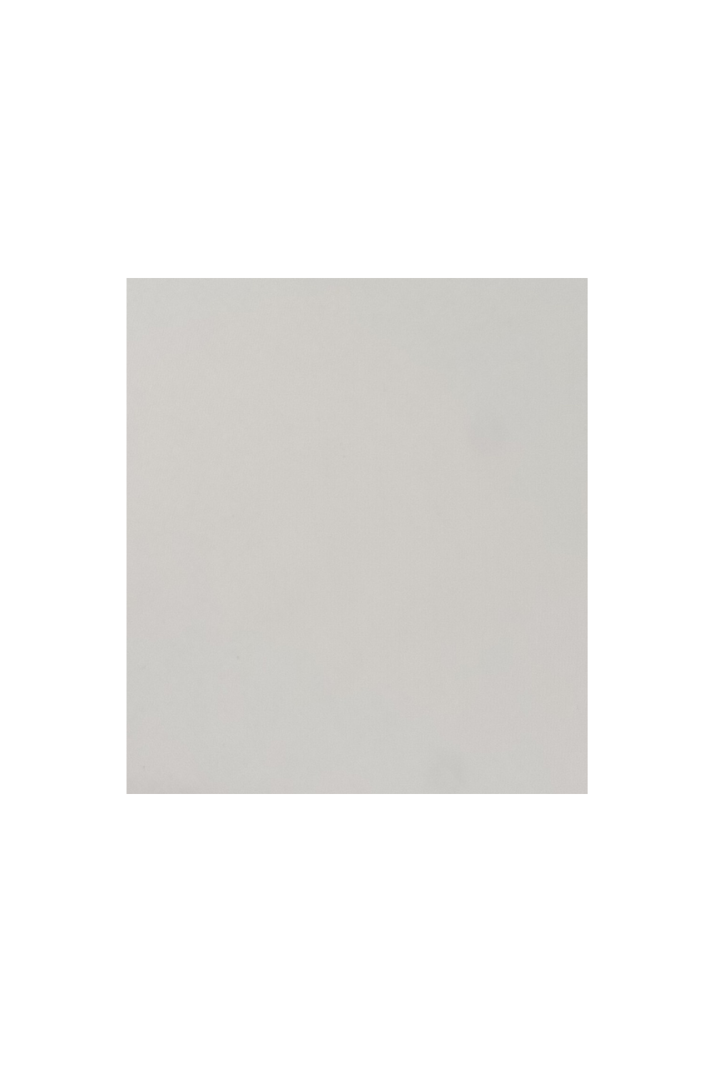 The Blank Book - DeBordieu