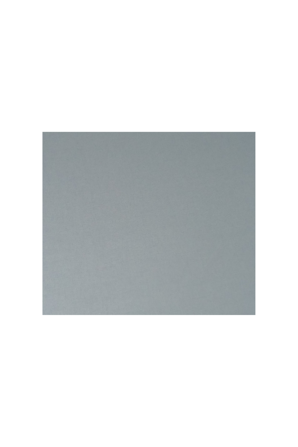 The Blank Book - DeBordieu