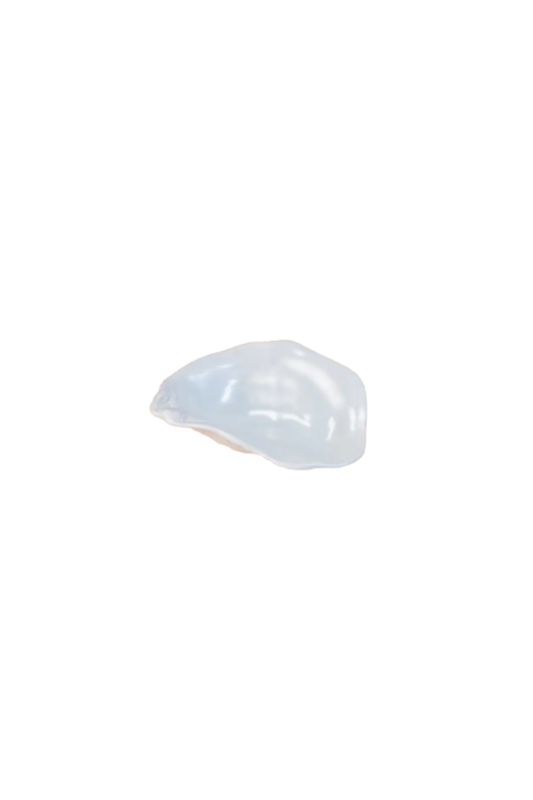 Oyster Shell Tidbit Dish