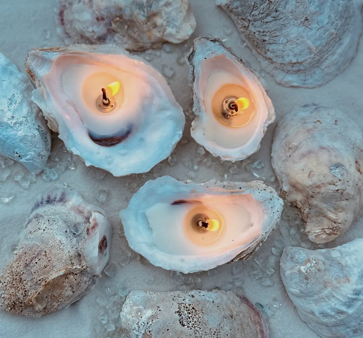 Oyster Gift Set of 3 Candles