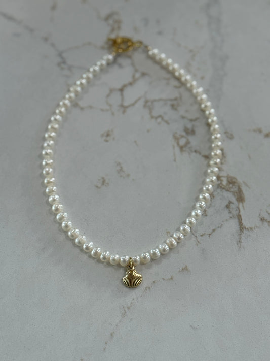 Shell Necklace