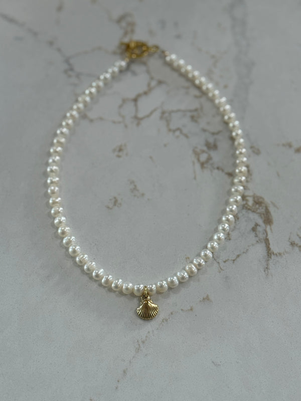 Shell Necklace