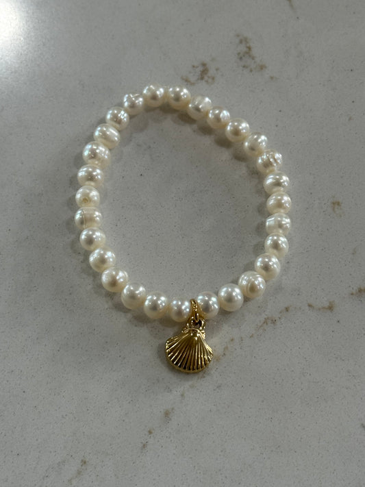 Shell Bracelet